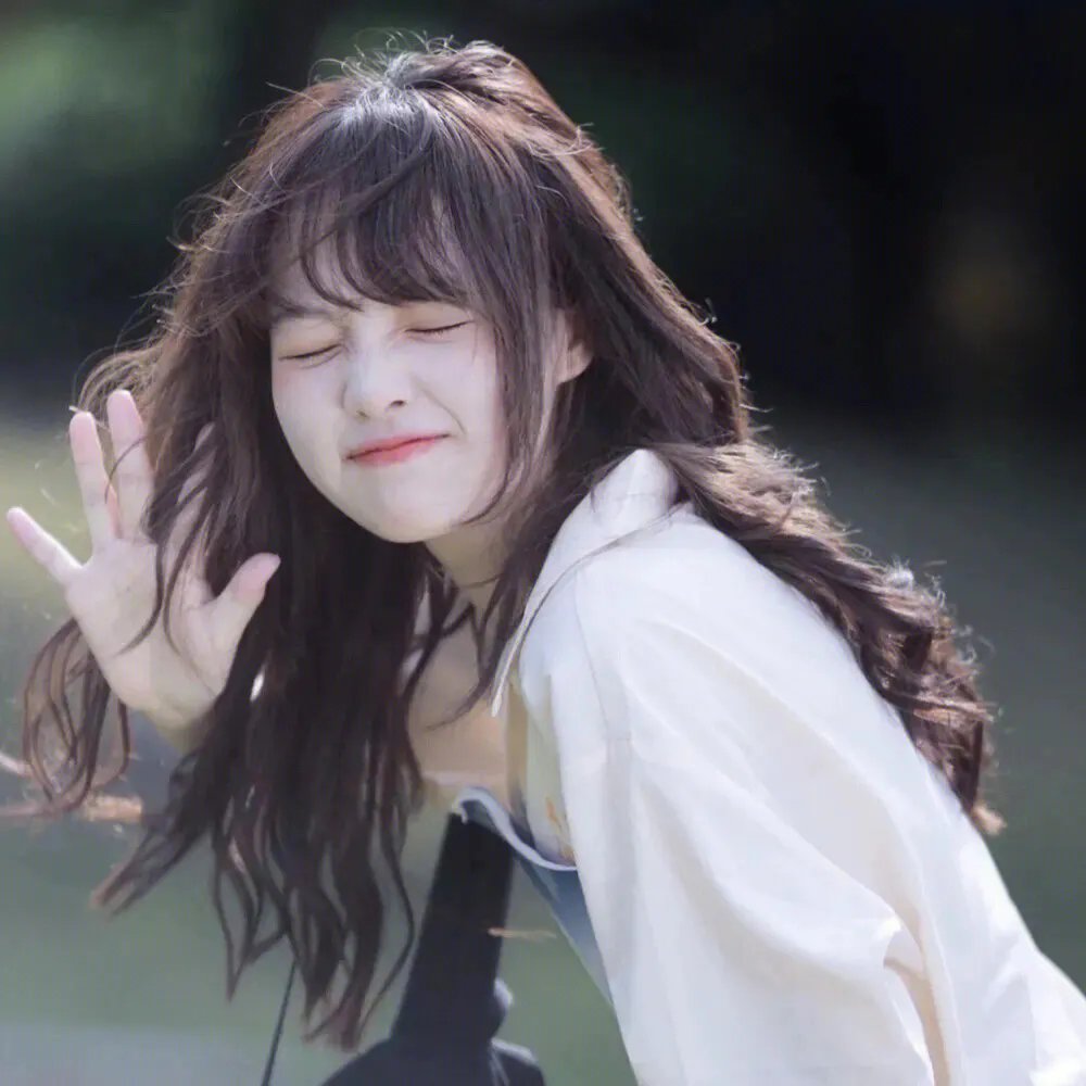 条顿骑士团的骑士